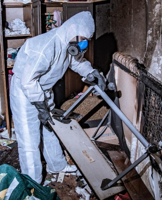 décontamination professionnelle